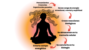 como los pensamientos crean tu energia e influye tus chakras