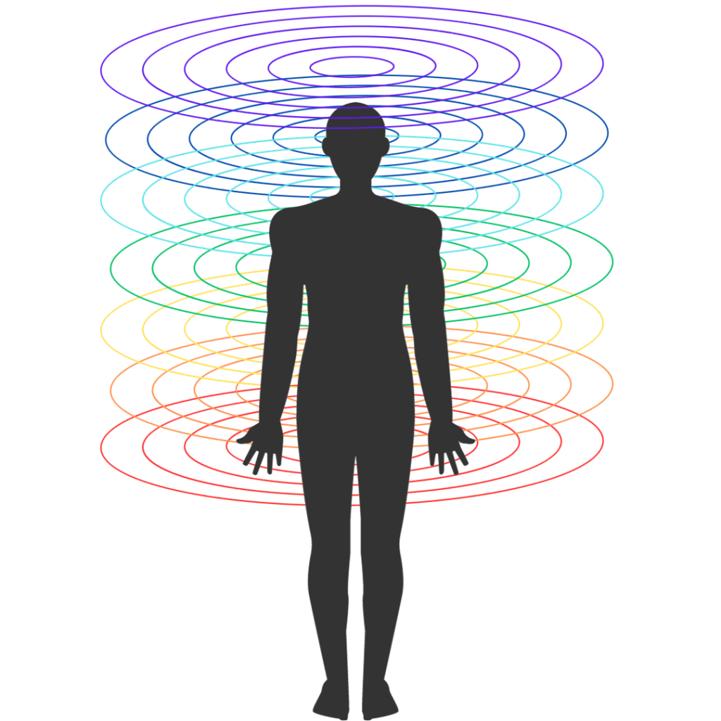 como se ven los chakras en el cuerpo