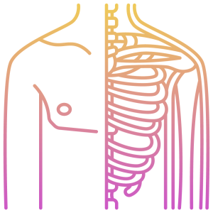 fisiologia de los chakras