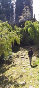 prosperidad en la naturaleza